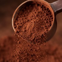 Poudre de cacao sauvage naturelle non transformée de qualité alimentaire FVP-41 100% pure non sucrée avec anthocyanes en conteneur/bouteille/fût en plastique