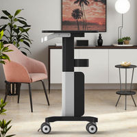 Chariot de beauté de haute qualité avec garantie après-vente, chariot de salon avec plateau métallique pour la maison