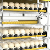 Nouvelle arrivée, incubateur et couveuse entièrement automatique en PP pour 288 œufs, pour poulets, oies, oiseaux, éclosion