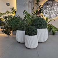 Jardinières modernes en résine texturée blanche avec motif circulaire pour plantes vertes d'intérieur, style minimaliste.