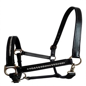 En gros, Collier de tête en cuir pour cheval, Conception anatomique, Confortable, Équipement d'équitation anglais, OEM personnalisé, Kanpur - Product Image 1