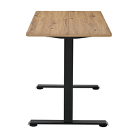 Bureau debout électrique, bureau de jeu réglable en hauteur, table d'ordinateur, mobilier de bureau à domicile, bureau de travail moderne