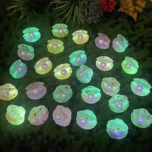 Poudre de paillettes effet nacré pour la décoration en résine, ornements capillaires en résine, motifs lumineux dans le noir pour la décoration - Ventes Flash - Product Image 2