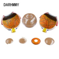 DARHMMY Modèle anatomique d'oeil géant détachable en 8 parties