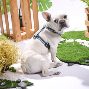 Laisse pour chien en <span class=keywords><strong>jacquard</strong></span>, avec <span class=keywords><strong>quincaillerie</strong></span> en alliage de zinc durable, laisse de promenade pour animaux de compagnie - Product Image 2