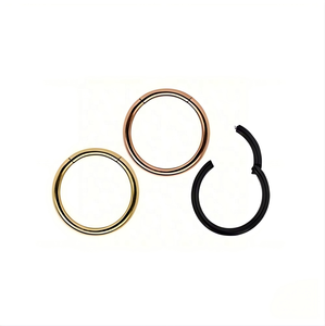Anneau segmenté articulé en titane poli uni pour <span class=keywords><strong>piercing</strong></span> corporel, vente en gros - Product Image 4
