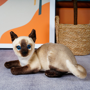Gato de peluche personalizado Ragdoll Siamés birmano británico de pelo corto gato americano exótico de pelo corto <span class=keywords><strong>persa</strong></span> muñeco de peluche para niños - Product Image 5