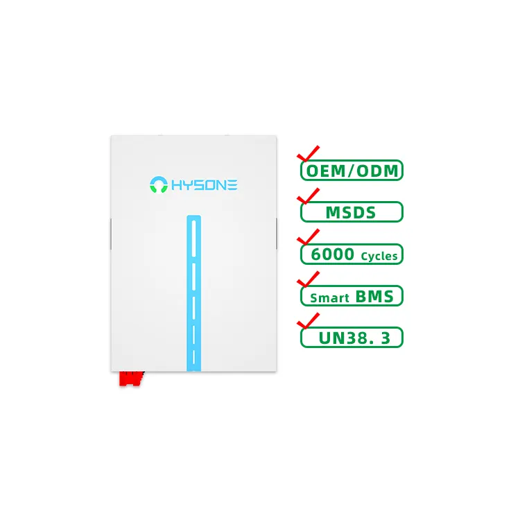 Hysone 5kwh 10kwh 24v 100ah batterie Powerwall au lithium Lifepo4 à montage mural pour système de stockage d'énergie solaire