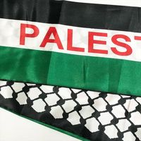 Vente chaude Personnalisé Pas Cher Prix 15x150cm Impression Tricot 100% Polyester Tache Football Club Fan Palestine Drapeau Écharpe