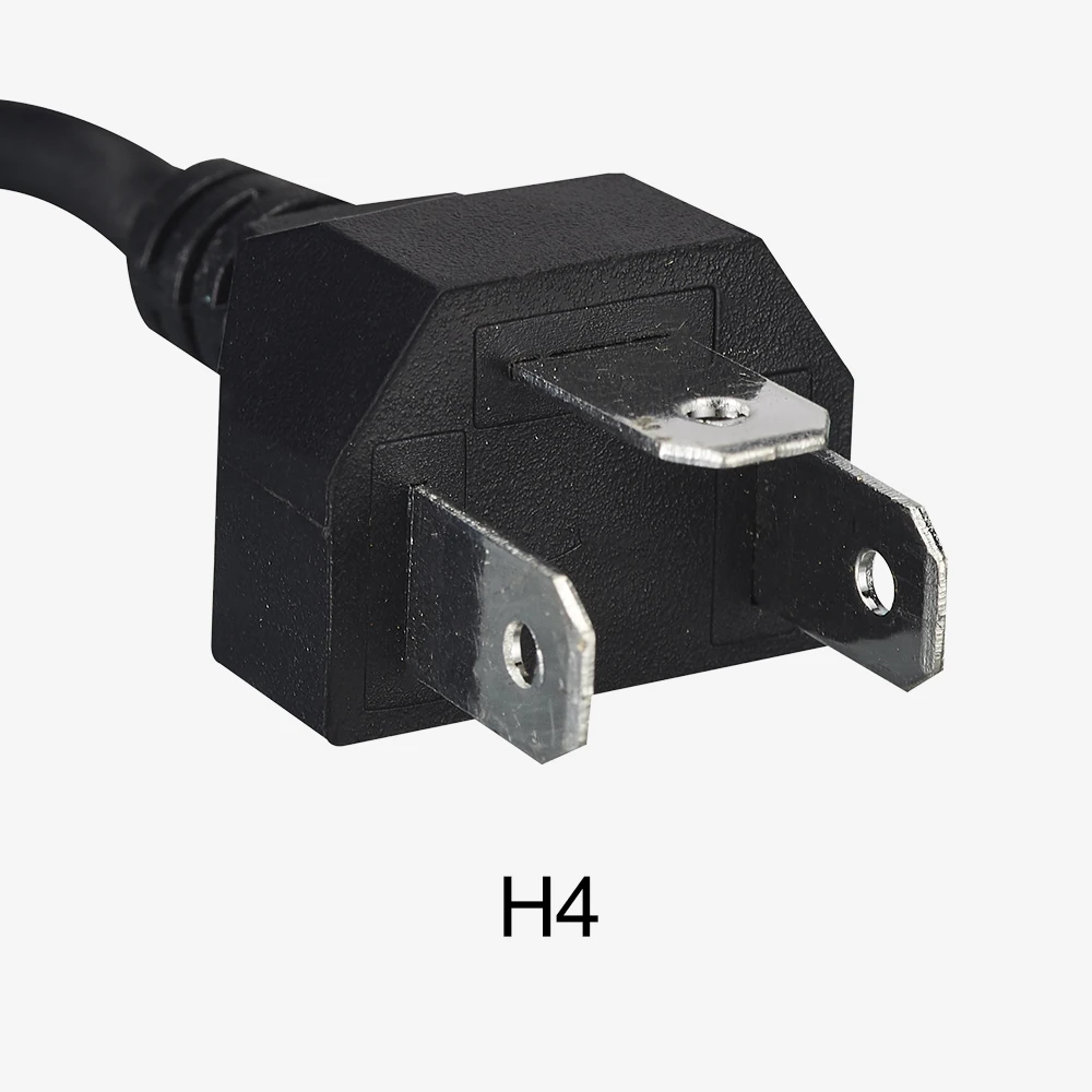 H4