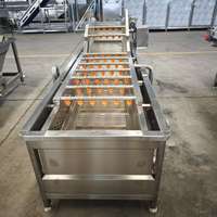 Industriële energiezuinige fruitwasmachine voor het wassen van appels en peren, waslijn voor verpakkingsfaciliteiten in boomgaarden