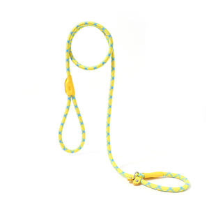 Correa de cuero de lujo de calidad superior personalizada para perros, correa de poliéster fuerte de dos cabezas para perros para caminar al aire libre y correr - Product Image 4