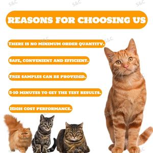 Mèo panleukopenia/Corona/Giardia/calicillin Combo nhanh chóng kiểm tra - Product Image 5