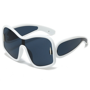 2025 nouvelles lunettes <span class=keywords><strong>de</strong></span> <span class=keywords><strong>soleil</strong></span> une pièce pour femmes UV400 <span class=keywords><strong>ski</strong></span> lunettes <span class=keywords><strong>de</strong></span> <span class=keywords><strong>soleil</strong></span> à grand cadre lunettes à la mode et polyvalentes - Product Image 2