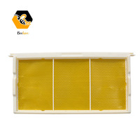 Honigbienen-Wabenrahmen |   Bienenstock-Kunststoffrahmen |   Langstroth Bienenstock Kunststoffrahmen |   Grundierung nicht enthalten