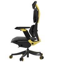 Chaise de Gaming de Luxe Ergonomique avec Accoudoirs 4D et Repose-Pieds pour Gamers