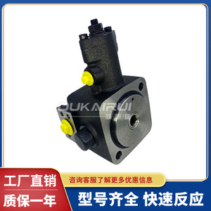 ปั๊มไฮดรอลิก Great Wall Vane Pump VUP A16 6 Flange Mount สำหรับเครื่องกลึง CNC - Product Image 5