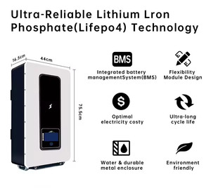 ก้อนแบตเตอรี่ลิเธียมไอออนเก็บพลังงานติดผนังใช้ Lifepo4แบตเตอรี่100AH ขนาด51.2โวลต์200ah 600ah 300ah 150ah - Product Image 5