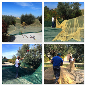 Malla de HDPE Virgen para Olivos con Ojales Metálicos Reforzados, Red Duradera para la Recolección de Aceitunas en Agricultura y Huertos de Olivos - Product Image 4