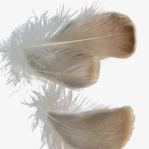 Linda Down Factory Wholesale Ultra-Practical Feather Fillers 2-4 cm Grey Duck Feathers