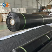 Geomembrana de HDPE/LDPE de 1 mm, Anti-UV, Diseño Moderno, Impermeable, Reciclable, Ecológica, Revestimientos para Vertederos, Estanques para Cría de Camarones/Peces