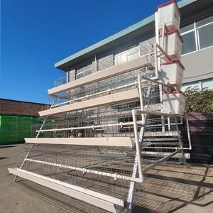 <span class=keywords><strong>Senegal</strong></span> multier חקלאי אוטומטי ציוד חקלאי פלדה מגולוון עבור ביצה הנחת שכבת עוף - Product Image 4