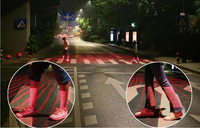 Feux LED Inductifs Intelligents pour Passage Piétonnier, pour une Circulation Sûre des Piétons dans les Écoles et les Zones Urbaines