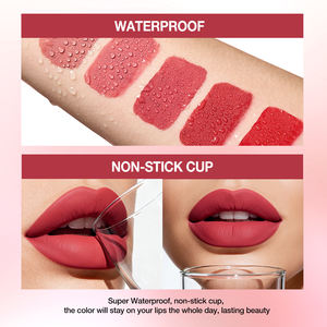 O.2.O 12多色素食防水不粘长效天然光滑液体唇膏唇彩 - Product Image 5