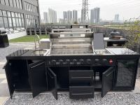 Îlot BBQ Modulaire de Luxe à Haute Puissance Thermique avec Brûleurs Gaz et Charbon en Acier Inoxydable 304 avec Revêtement Poudré, Grill Extérieur Commercial pour Fêtes