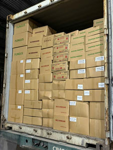 Nouilles de riz Pho du Vietnam Nouilles de riz vietnamiennes pour la soupe Pho, sain naturel sans gluten, approvisionnement d'exportation en vrac d'usine OEM - Product Image 6