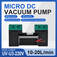 Pompe à air à double tête UV-U3 12V 24V 220V 20L/min, pompe à piston à pression négative pour l'automobile et l'agriculture