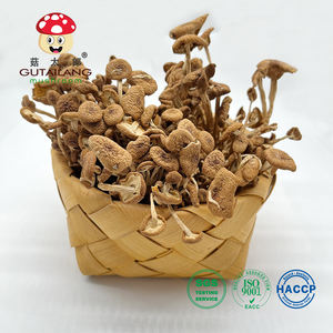 Vente en gros d'usine de champignons séchés Agrocybe <span class=keywords><strong>aegerita</strong></span> pour manger des champignons d'arbre à thé séchés aliments biologiques emballage personnalisé - Product Image 3