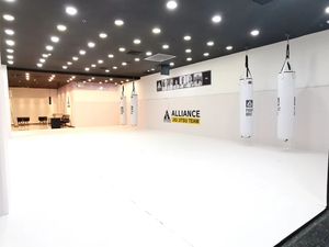 小さなレスリングマットFightBro - Product Image 6