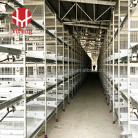 Cage à poulets de chair de type H, cage automatique à 4 niveaux avec sol en plastique, courroie de fumier, mangeoire et abreuvoir à tétine pour poulets de chair, OEM