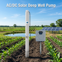 Pompa Submersible Tenaga Surya Hibrida AC/DC SN 750W 6m³/jam 65m Head Pompa Sumur Stainless Steel Dengan MPPT untuk Pasokan Air
