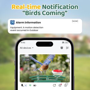 Comedero para Pájaros con Cámara Solar para Exteriores con Reconocimiento IA - Cámara <span class=keywords><strong>de</strong></span> Video en Vivo 2K HD para Pájaros Silvestres, Decoración <span class=keywords><strong>de</strong></span> Jardín - Product Image 2