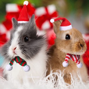 Mini chapeau <span class=keywords><strong>de</strong></span> père noël <span class=keywords><strong>de</strong></span> noël mini écharpe <span class=keywords><strong>de</strong></span> noël et mini chapeaux et écharpes <span class=keywords><strong>de</strong></span> noël rouges pour les détenteurs d'argenterie <span class=keywords><strong>de</strong></span> noël - Product Image 3