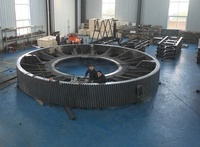 Engrenage à anneau de roulement en acier inoxydable, engrenage à roulement rotatif, grand module, engrenage fendu à arc pour moulin à boules