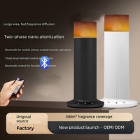 Diffuseur d'arômes, pulvérisateur automatique de brume, huile essentielle, veilleuse, machine de parfum intelligente pour la maison, brume fraîche, activée par le toucher, 70ml
