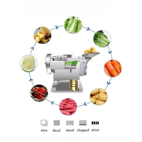 Cortador multifuncional para frutas, alimentos y verduras, trituradora de patatas, zanahorias, jengibre, cortador triturador, máquina cortadora