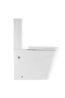 Vente en gros de toilettes modernes de haute qualité pour hôtels, toilettes en P-Trap Sanitaires Placard à eau Inodoro Toilette deux pièces montée au sol