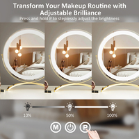 Vente en gros Grand miroir de courtoisie LED rond Miroir de maquillage simple face avec caractéristiques personnalisées pour une utilisation cosmétique de bureau