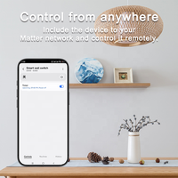Interrupteur intelligent sans fil Bilihondim Matter Over Thread, contact sec, 1 canal, sortie 200W 1A, portée 30m, compatible Google Assistant