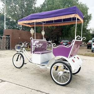 Vente directe d'usine, tricycle 4 places, tricycle à 3 roues/à pédales et à moteur électrique, prix d'usine - Product Image 5