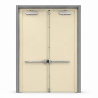 Porte coupe-feu à double battant avec barre anti-panique et ferme-porte automatique, porte en acier ignifuge pour usage commercial et industriel