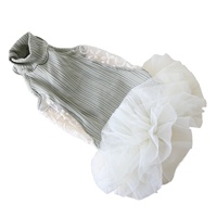 Robe Tutu Décontractée Printemps Petstyle Xingxu Waltz pour Chien de Type Greyhound Italien et Whippet – Tenue Mignonne, Douce et Confortable pour Animaux de Compagnie