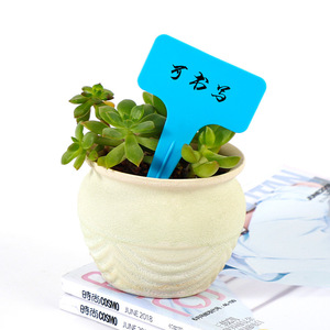 ป้ายติดต้นไม้ Haihua แบบพลาสติก รูปตัว T กันน้ำ สำหรับติดป้ายตกแต่งสวนและต้นไม้ - Product Image 1