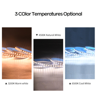 Bandes LED programmables à couleurs complètes 24V SMD2835 3000K 4500K 6000K avec circuit intégré externe pour bars et KTV