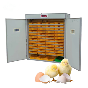 220V automático grande PP PC incubadora de huevos nuevo uso doméstico pollo ganso Emu <span class=keywords><strong>avestruz</strong></span> pato reptil pavo incubadora máquina - Product Image 6
