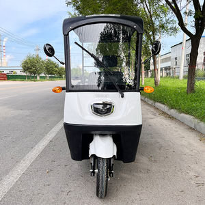 Triciclo Eléctrico <span class=keywords><strong>de</strong></span> Carga <span class=keywords><strong>de</strong></span> Larga Duración y Mayor Alcance, Motocicleta <span class=keywords><strong>de</strong></span> <span class=keywords><strong>Tres</strong></span> <span class=keywords><strong>Ruedas</strong></span> para Alquiler en Sitios Turísticos, Precio al por Mayor - Product Image 3